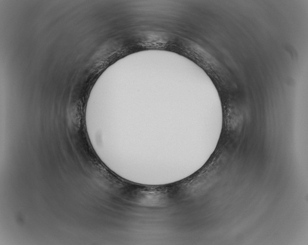 X0000113170370200909181837