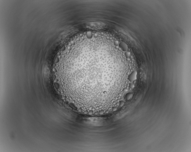 X0000113170371200909181837