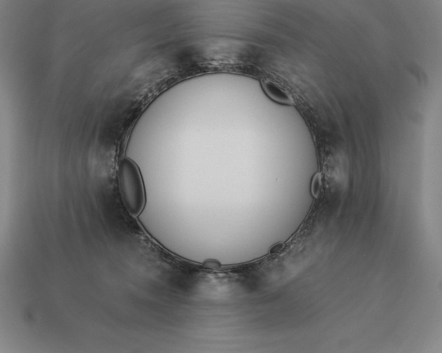 X0000113170372200909181837