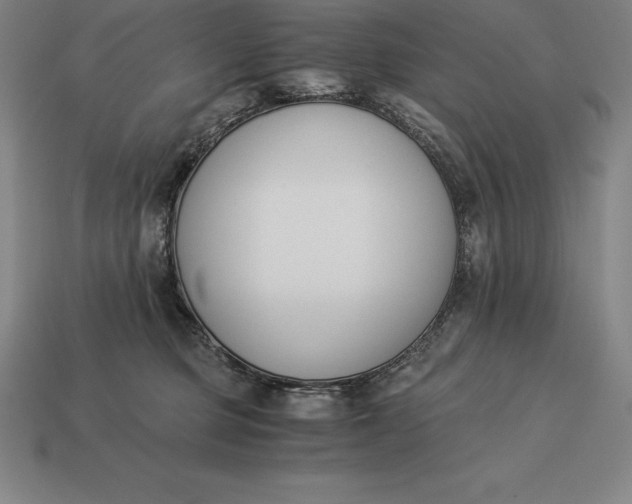 X0000113170373200909181837