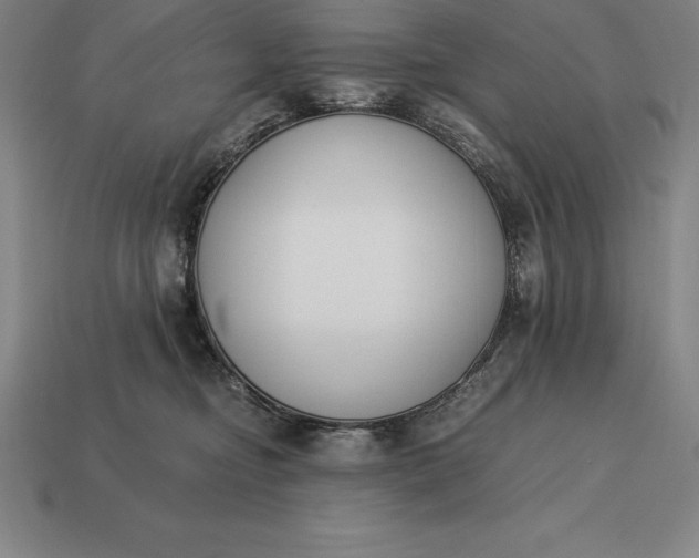 X0000113170374200909181837