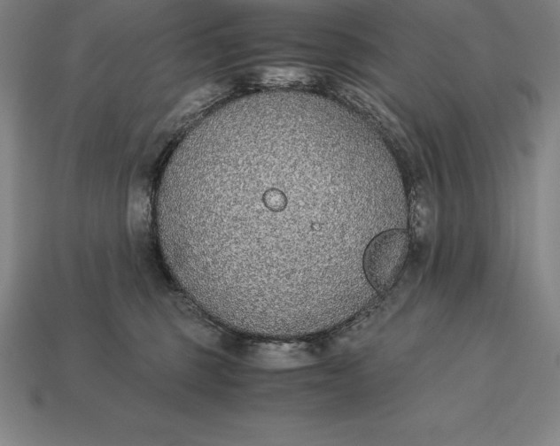 X0000113170375200909181837