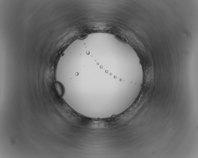 X0000113170376200909181837