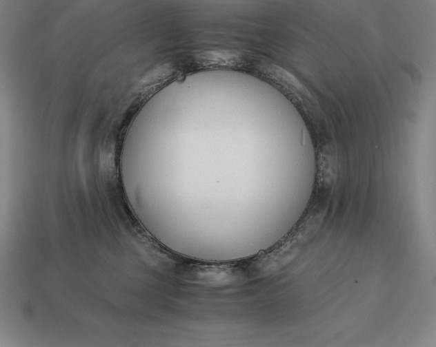 X0000113170377200909181837