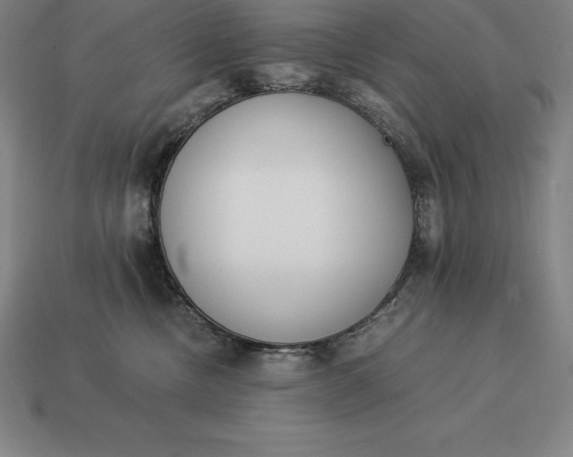 X0000113170378200909181837