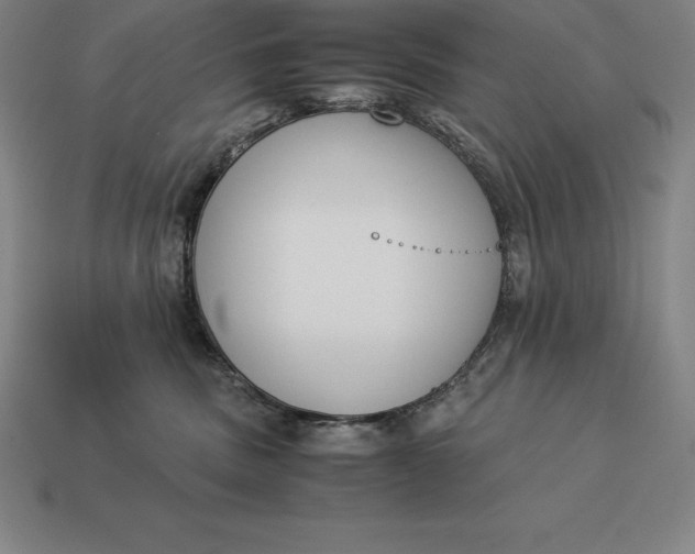 X0000113170379200909181837