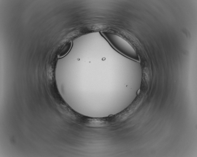 X0000113170380200909181837