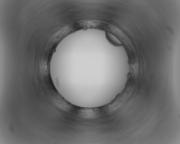 X0000113170381200909181837