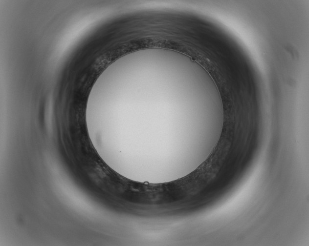 X0000113170382200909181837