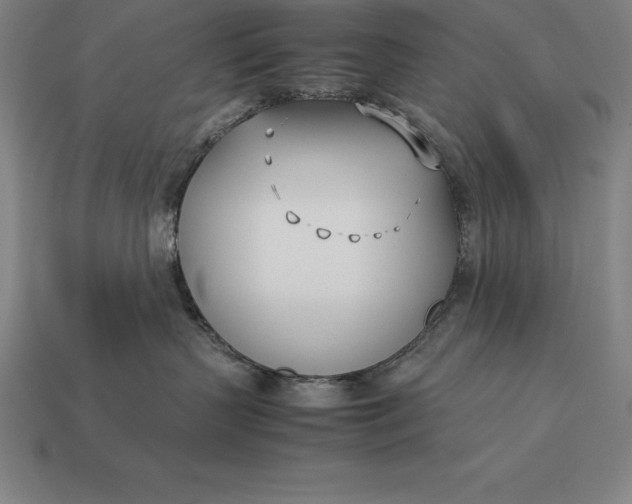 X0000113170383200909181837