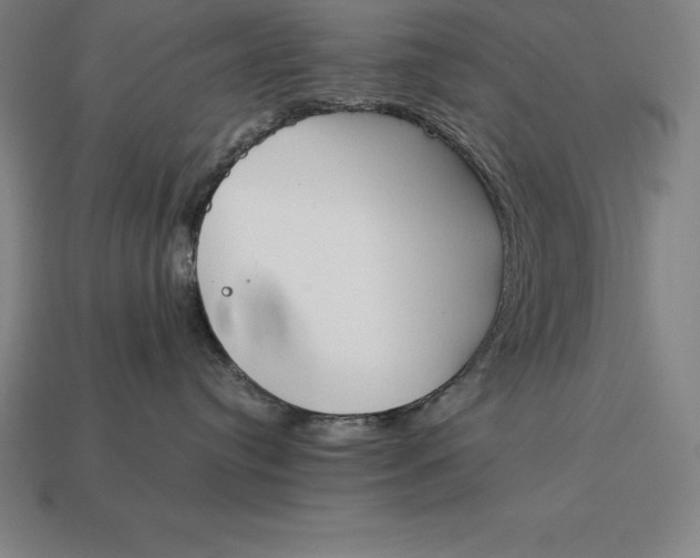 X0000113170384200909181837