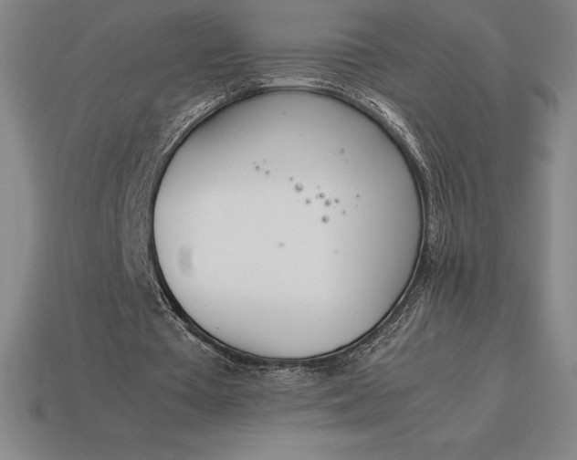 X0000113170385200909181836