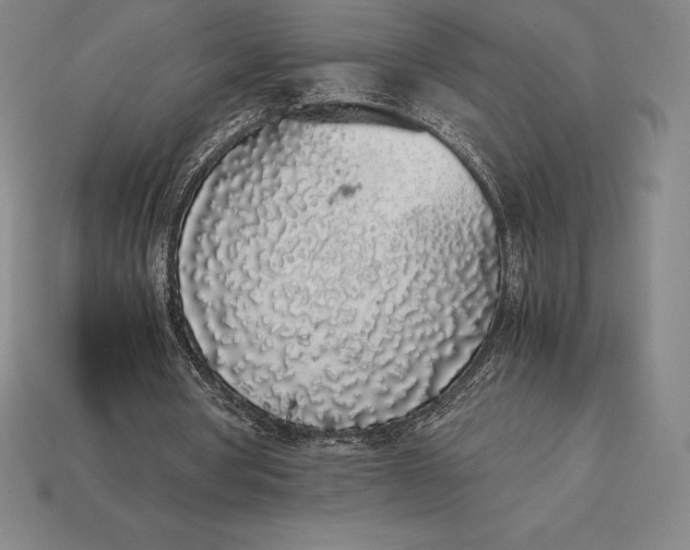 X0000113170386200909181836