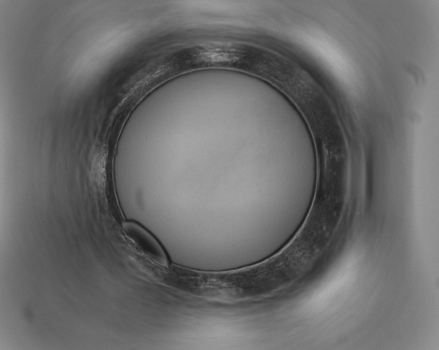 X0000113170387200909181836