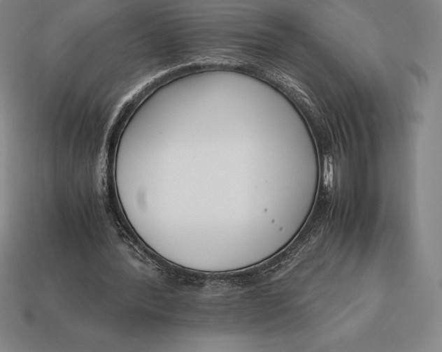 X0000113170388200909181836