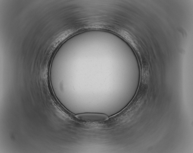 X0000113170389200909181836