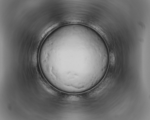 X0000113170390200909181836