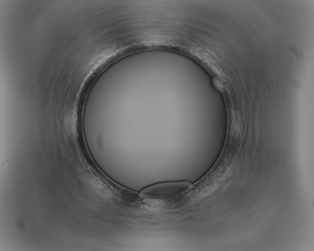 X0000113170391200909181836