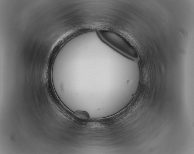 X0000113170392200909181836