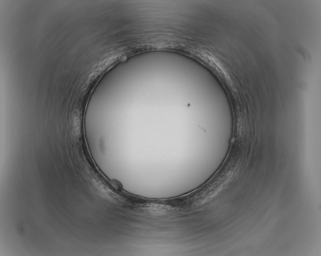 X0000113170393200909181836