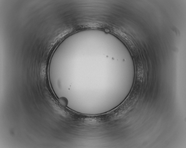 X0000113170394200909181836