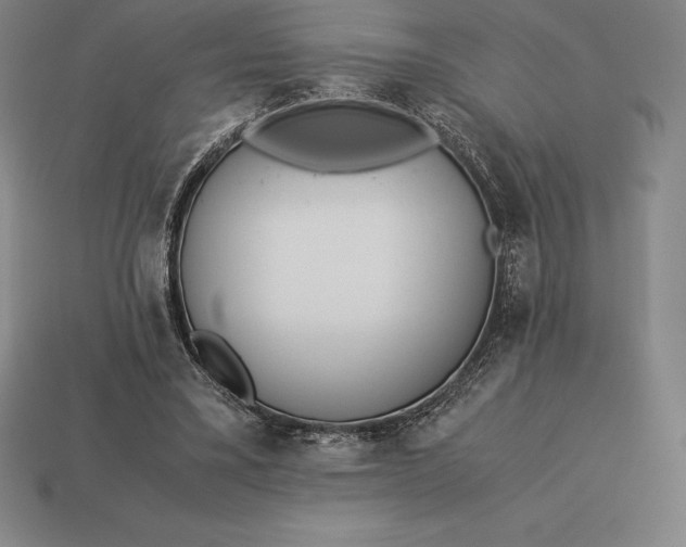 X0000113170395200909181836