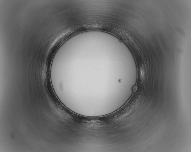 X0000113170396200909181836