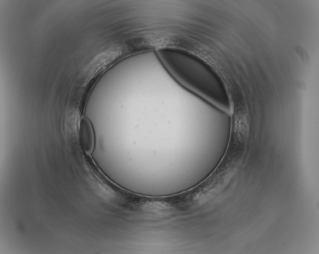 X0000113170397200909181836