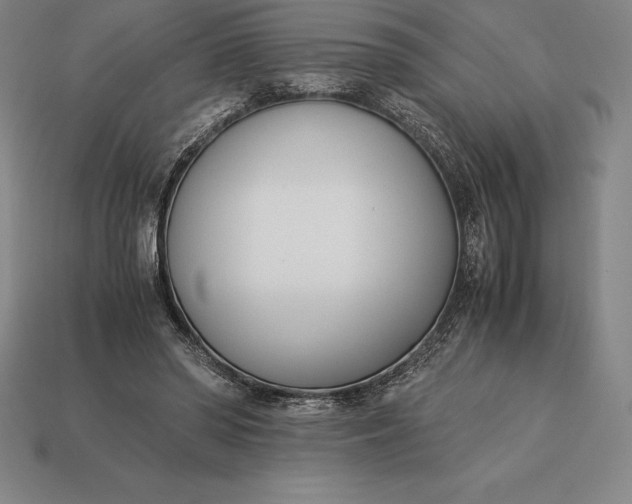 X0000113170398200909181836