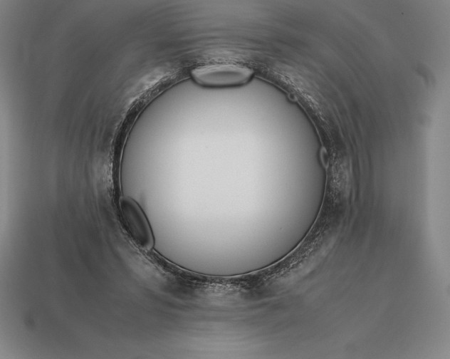 X0000113170399200909181836