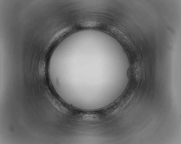 X0000113170400200909181836