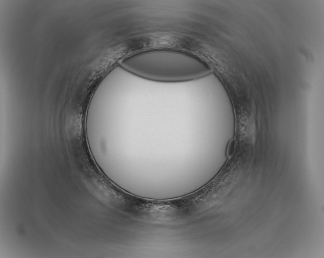 X0000113170401200909181836