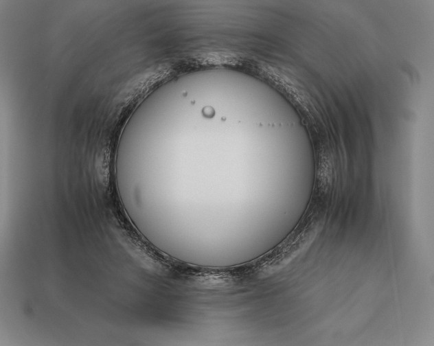 X0000113170402200909181836