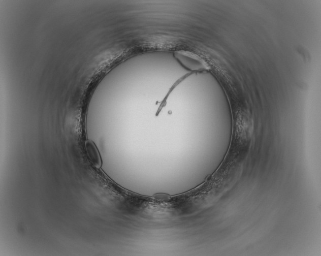 X0000113170403200909181836