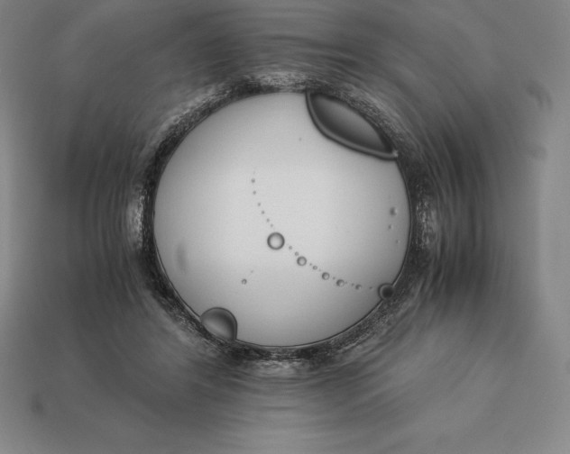 X0000113170404200909181836