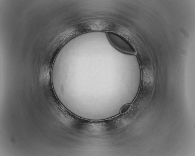 X0000113170405200909181836