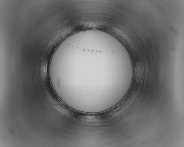 X0000113170406200909181836