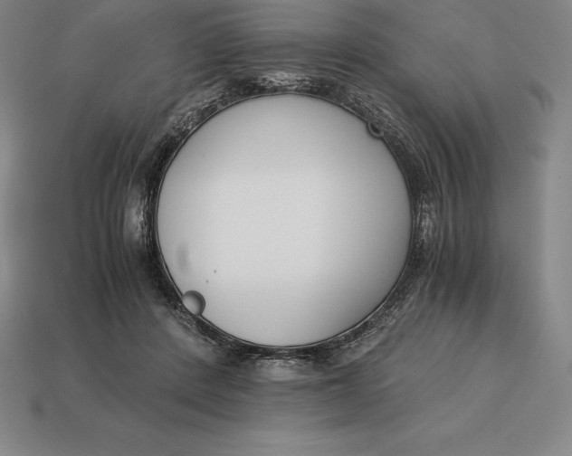 X0000113170408200909181836