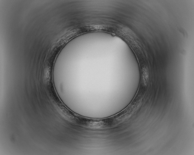 X0000113170410200909181836