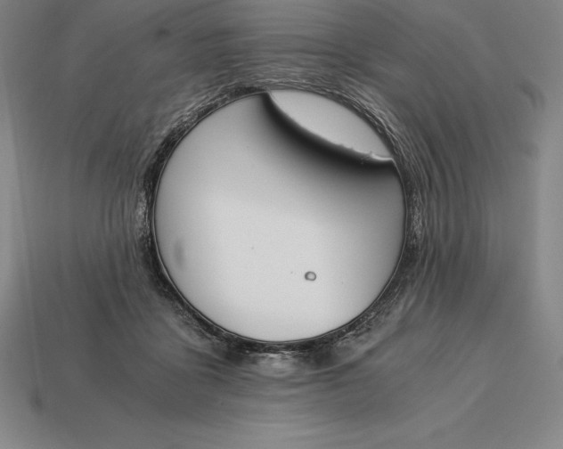 X0000113170411200909181836