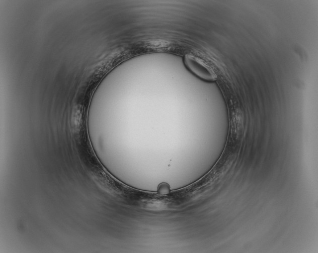 X0000113170412200909181836