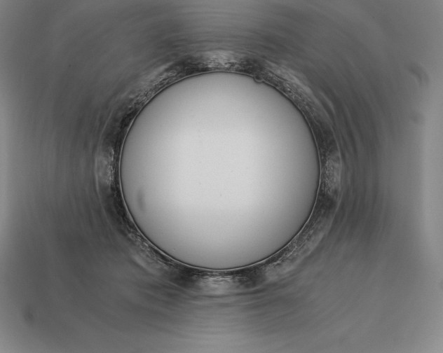 X0000113170413200909181836