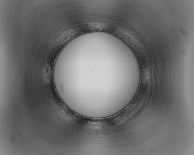 X0000113170414200909181836