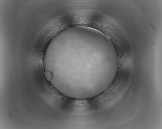 X0000113170415200909181836