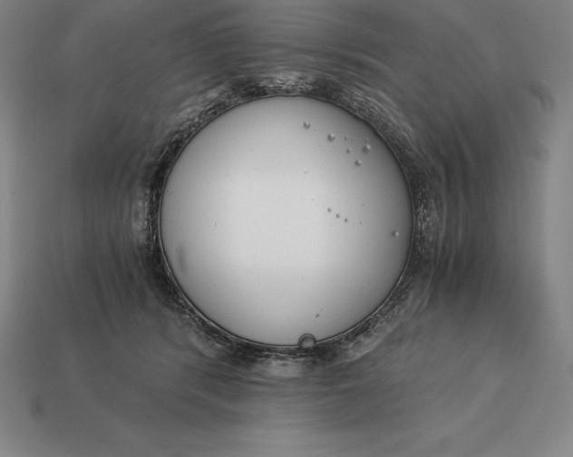 X0000113170416200909181836