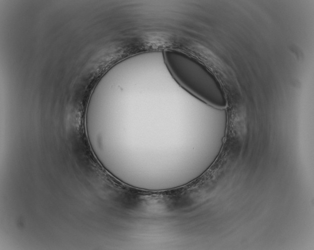 X0000113170417200909181836