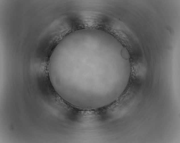 X0000113170419200909181836