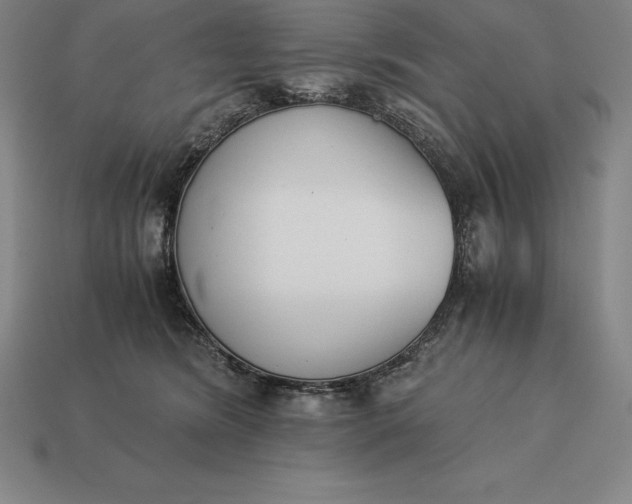 X0000113170420200909181836