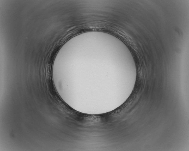 X0000113170421200909181836