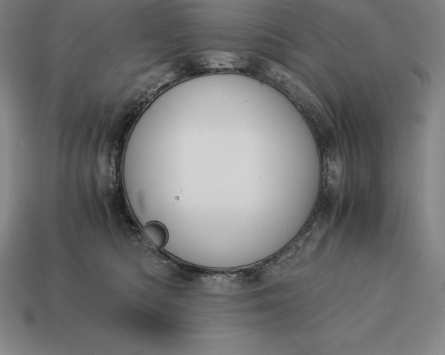 X0000113170422200909181836